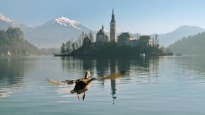 Гостиница Apartments Vila Cvetka Bled, Блед